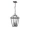 Z-Lite Talbot 3 Light Outdoor Chain Mount Ceiling Fixture, Oil Rubbed Bronze And Seedy 579CHB-ORB - alternate 1